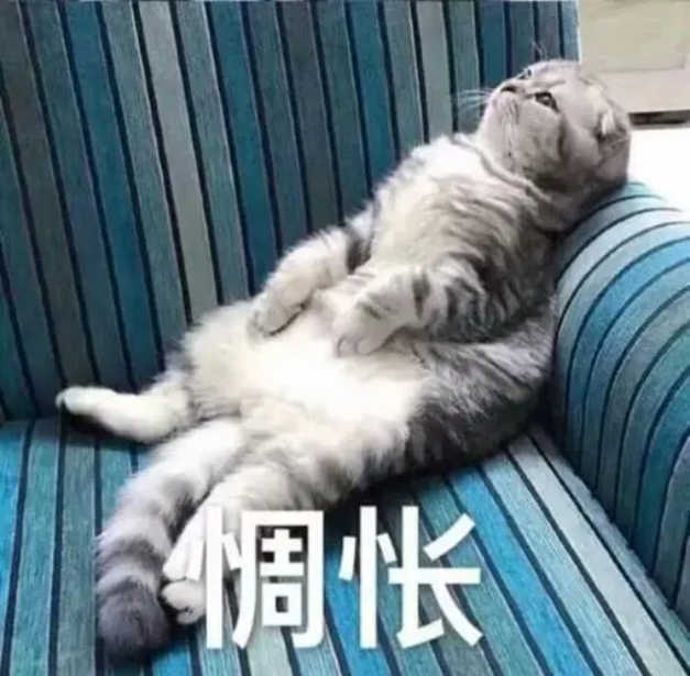 UC截图20231013090223.png