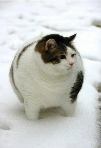 123