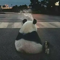 2211
